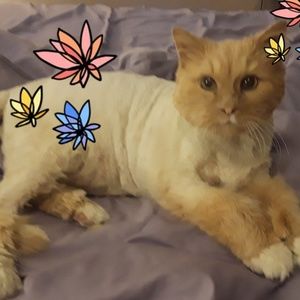 Meet your Posher, Karen